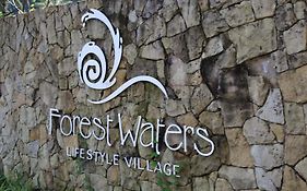 Forest-Riversend